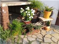 9a02e688-2016-07-27 07.36.02.jpg